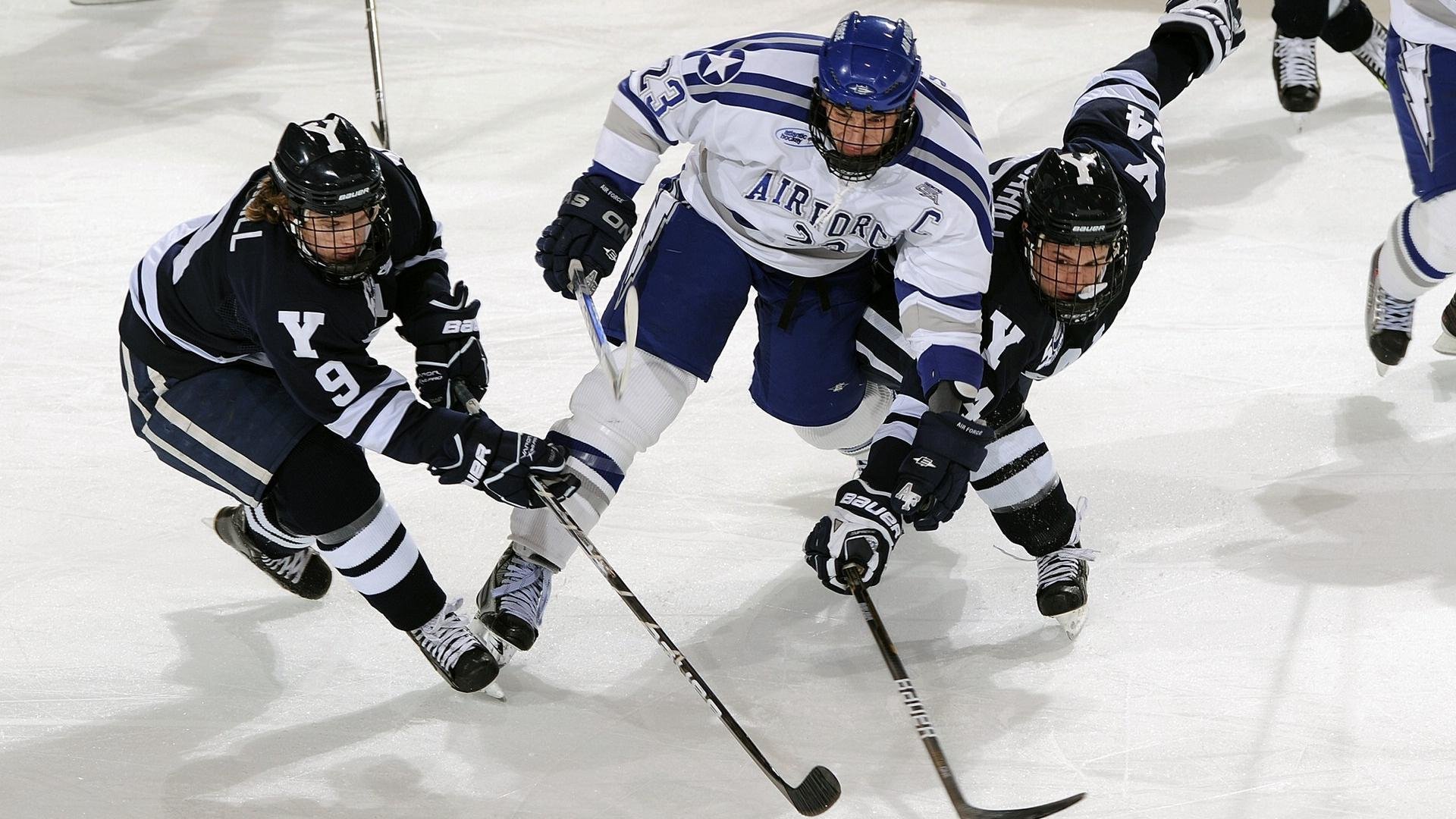 _疯狂雪地漂移：冬季激情速度战_，雪地疯狂动物的位置在哪里