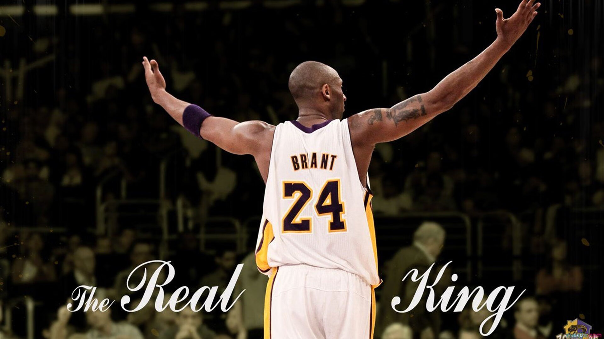 “意甲逆境反击，球队状态逐步回升”，意甲现状