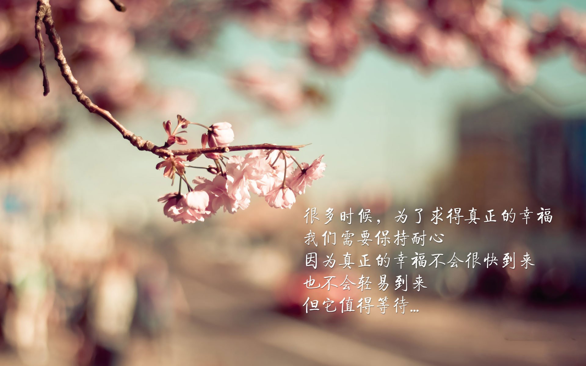 基层足球组织者缺乏专业赛事策划能力，业余足球队组织架构