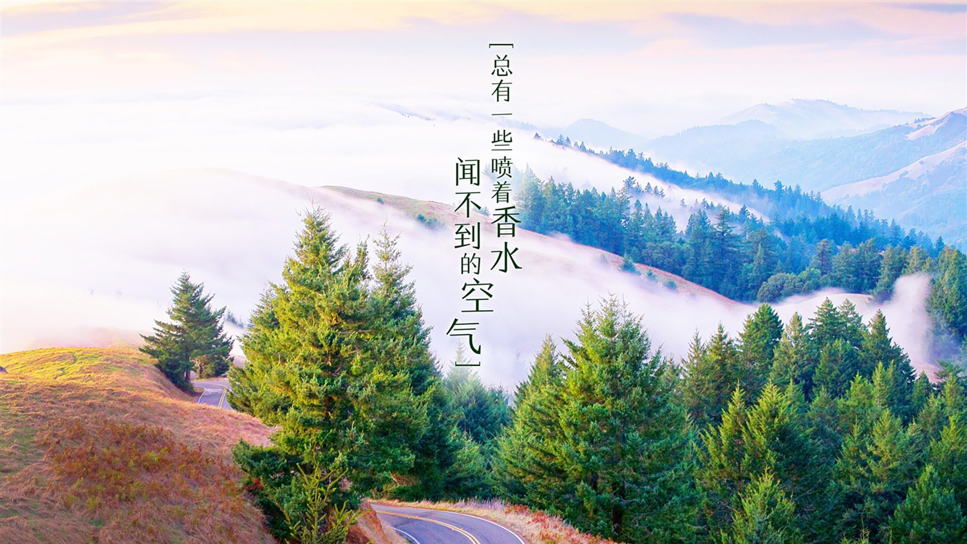 世界杯经典再现：精彩片段永存人心！，世界杯精彩剪辑