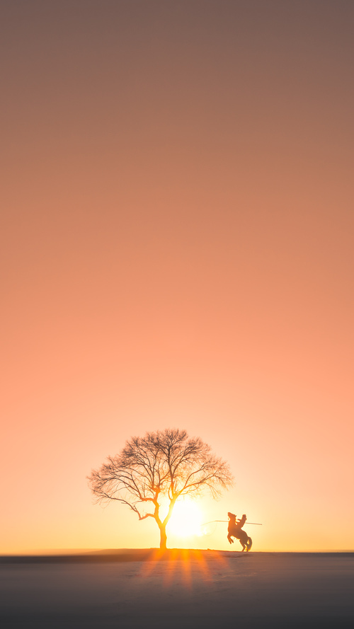 巴勒斯坦男篮在西亚预赛中迎难而上，梦想晋级