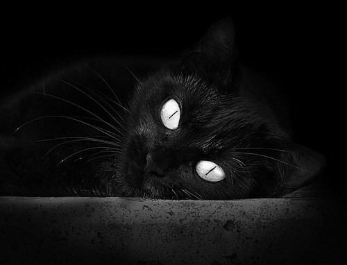 法甲强强对话:战术与个人能力的极限较量,法甲水平如何