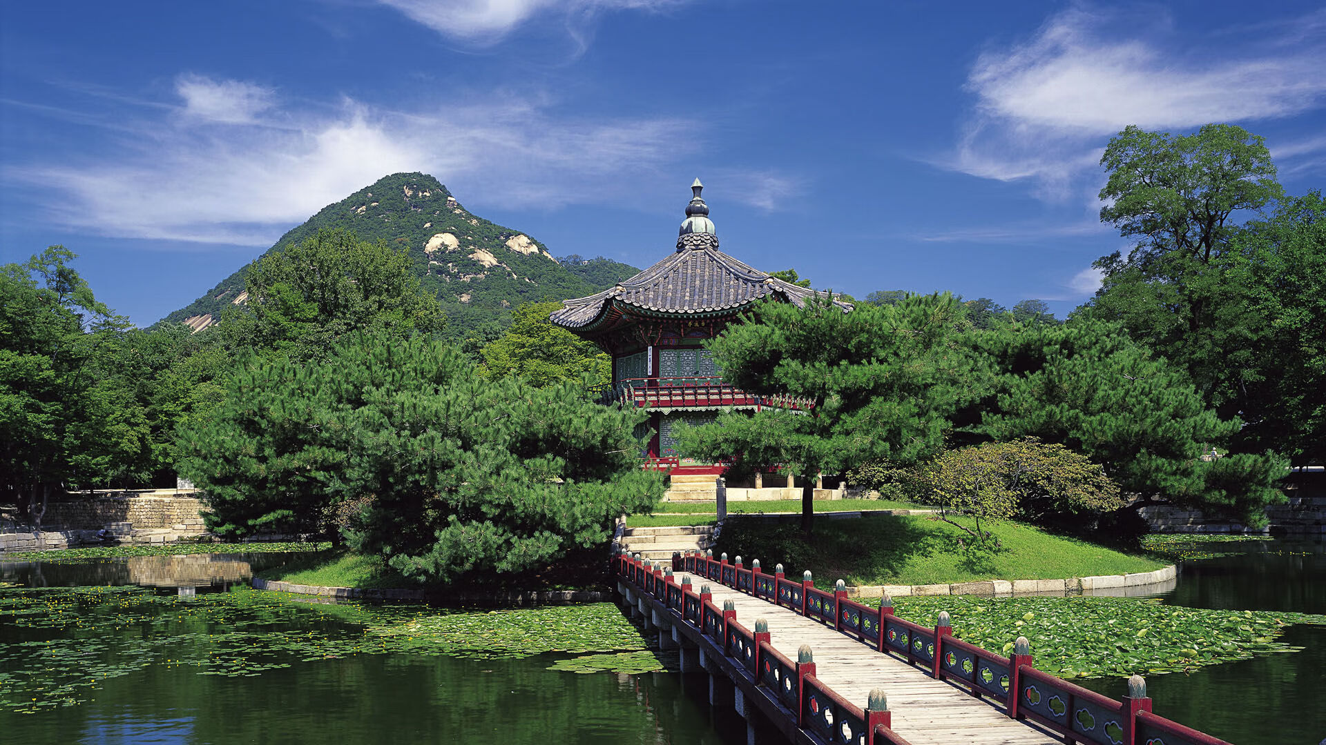 爱游戏平台-职业俱乐部青训人才注册系统实现全国信息互通管理,职业联赛青训