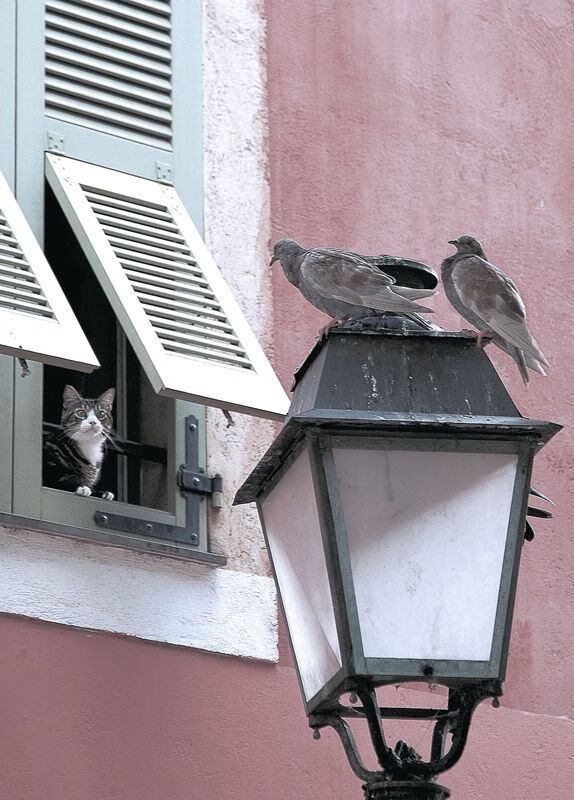 -赛后评分系统更精细为教练调整阵容提供量化支持依据,教练在赛后分析会